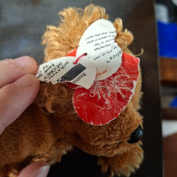 Ty Beanie Baby BB 2.0 Frolics The Puppy Dog Brown Curly Plush - Picture 3 of 9